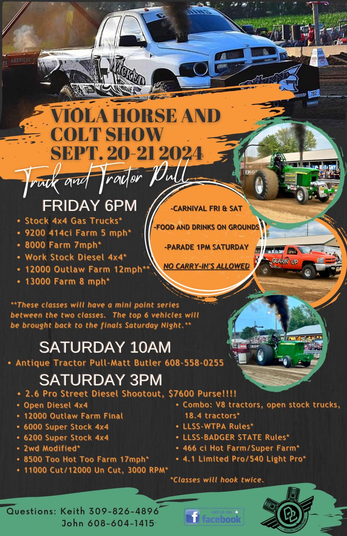 Viola horse and colt show poster